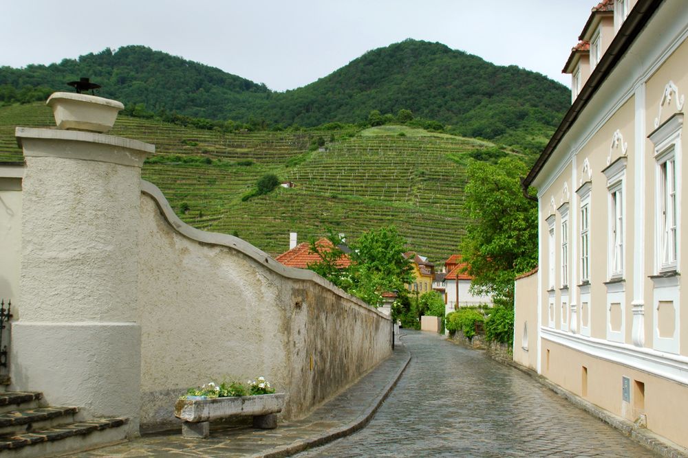 Fietstocht Passau-Wenen - Wijn en wijnboeren tussen Passau en Wenen - Spitz